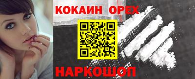 стафф Кандалакша