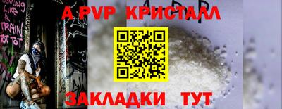 стафф Кандалакша