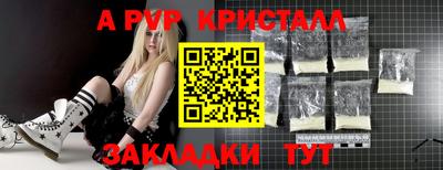 стафф Кандалакша