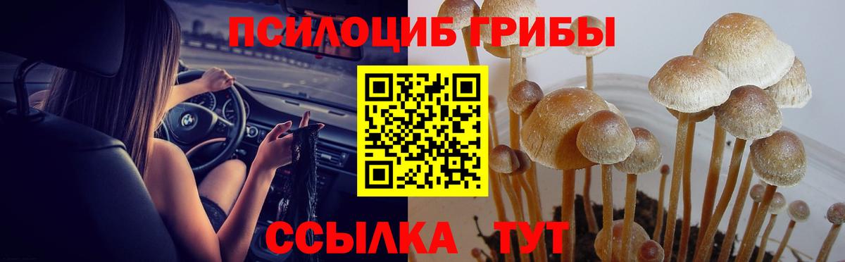 Псилоцибиновые грибы Psilocybe  Галлюциногенные грибы прущие грибы  Коммунар  Вход с VPN 